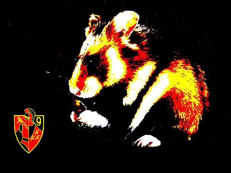 hamsteratomique