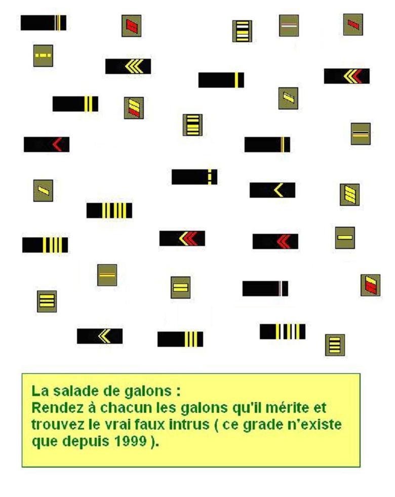 Salade de galons